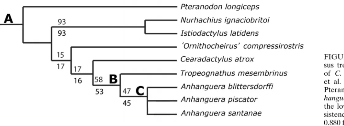 FIGURE 10. Detail of the strict consen- consen-sus tree of 240 MPTs showing the position of C