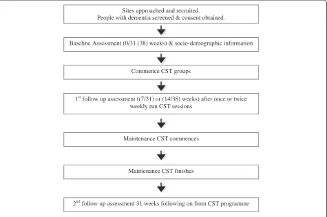 Figure 3 Flow diagram of observational study and assessment schedule.