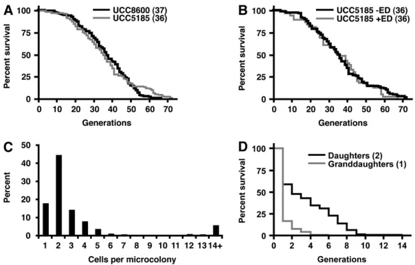 Figure 2.—MEP induction by estradiol. Tenfold serial dilu-