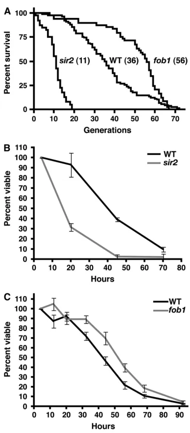 Figure 5.—Differences in RLS measured with the MEP. (A)