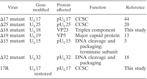TABLE 1. Description of viruses used in the current study