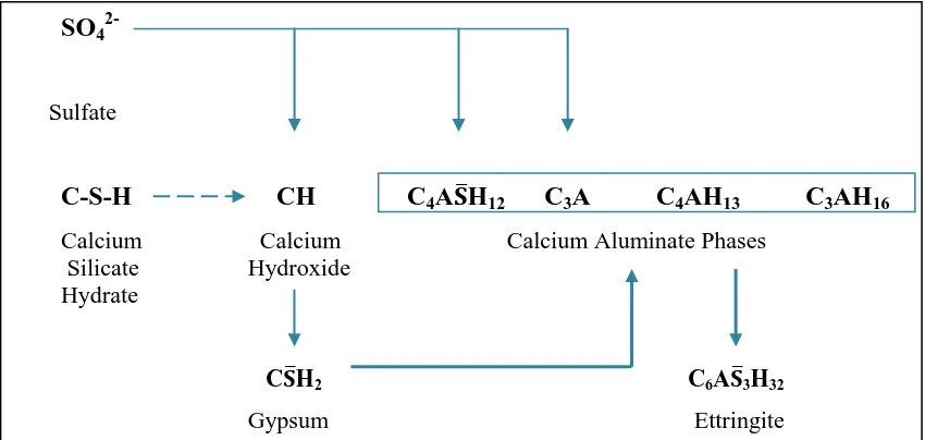 Figure ‎2.1 Schematic diagram of the concrete chemical reactions due to sulfate attack 