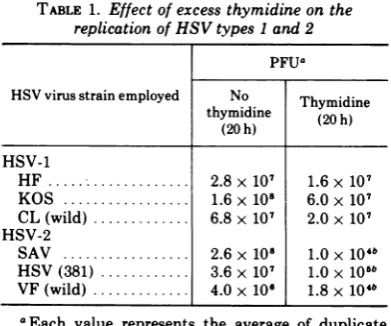 TABLE 1. Effect of excess thymidine on thereplication of HSV types 1 and 2