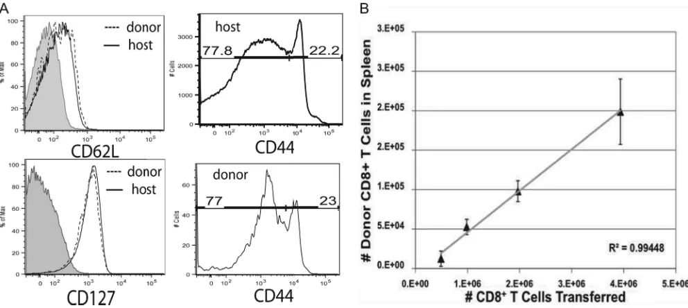 FIG. 1. Adoptively transferred donor CD8�5, the mice were sacriﬁced and FACS analysis was performed on splenocytes