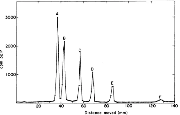 FIG. 3.Relectrophoresiseachmade EcoRI. Gel electropherogram of [32P]DNA of adenovirus serotvpe 12 after incubation with endonuclease The sample was deproteinized and subjected to electrophoresis on cylindrical gels (6 bv 140 mm) up from 1% acrylamide and 0