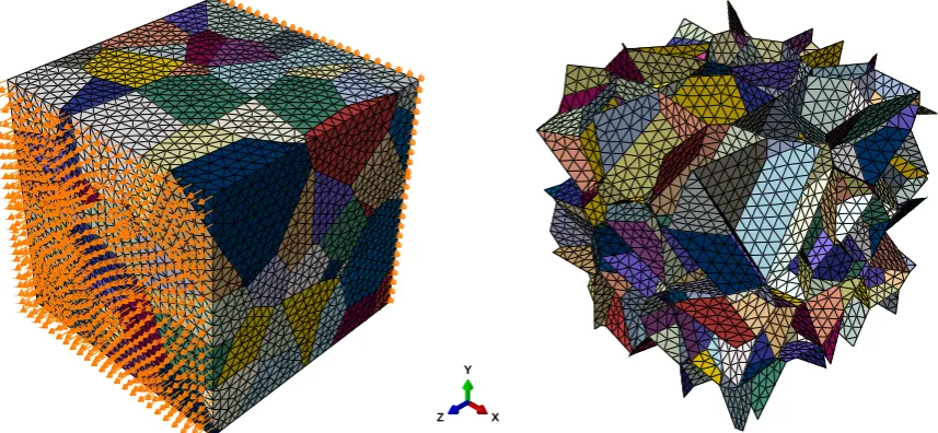 Figure 1: Coarse FEM model with average element size of 0.05 mm. Different colors indicatedifferent grains (left) and grain boundaries (right).