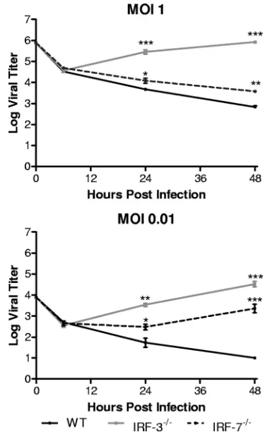 FIG. 1. In vitro replication in bone marrow derived dendritic cells.Primary BMDCs were infected with WT HSV-1 at an MOI of 1 or