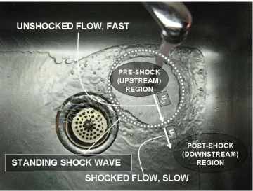 Figure 1.1: Tap water in a sink forms a shock.