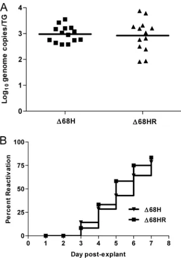 FIG. 3. �129 Ev/Sv mice were infected with 268H and �68HR establish latency and reactivate equally