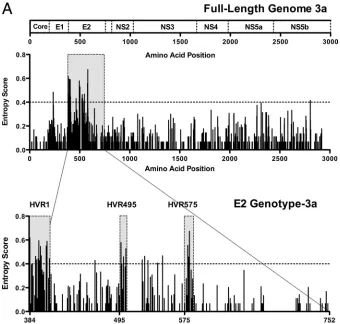 FIG. 1. Sequence variability across the HCV subtype 3a genome identiﬁes two novel HVRs within E2