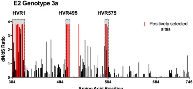 TABLE 2. Position and residue of selected amino acids