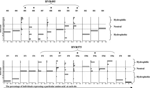 FIG. 5. Hydrophobicity or hydrophilicity of the amino acids that comprise the novel HVRs