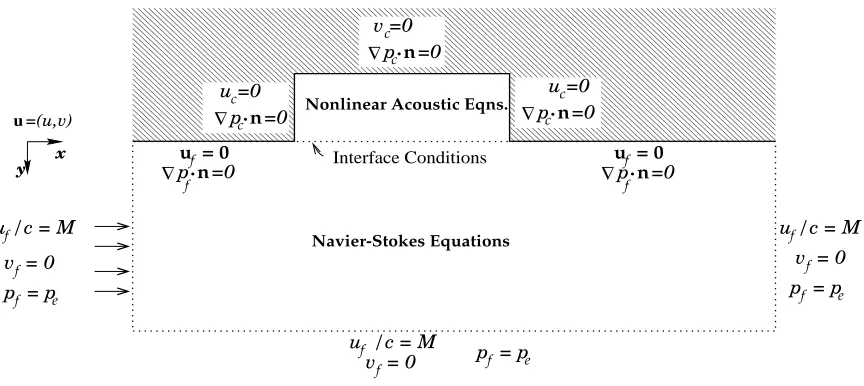 Figure 5:  Flow-Cavity Model10