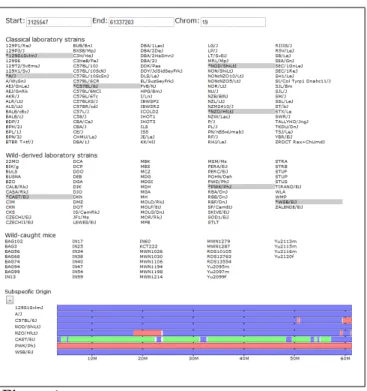 Figure 1: An overview of our web-based genome browser. Shown from top to bottom are the browser’s viewing window editor, strain selection panel, and the subspecific origin data track