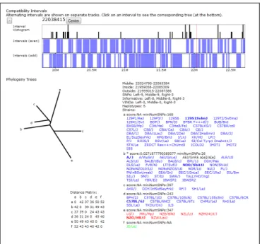 Figure 5: The compatible intervals and haplotype coloring are shown for a small region