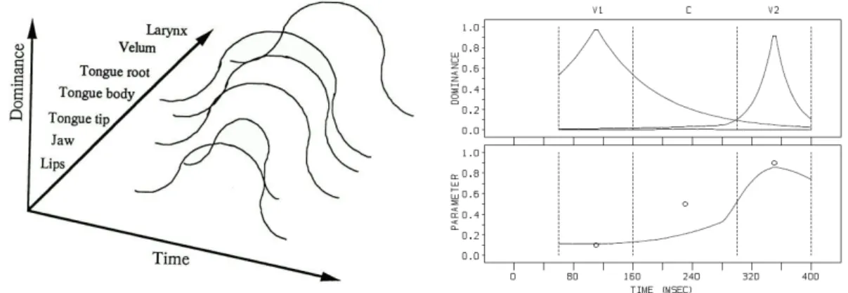 Figure 4.1: The left graph represents the dominance of articulatory features over time for a typical speech segment (as adopted by [58] from [59])