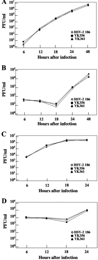 FIG. 3. Growth curves for recombinant viruses with or without theBAC sequence and EGFP expression cassette in their genomes