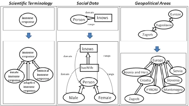 Illustration 5 Examples for schema/ontology evolution (a) 