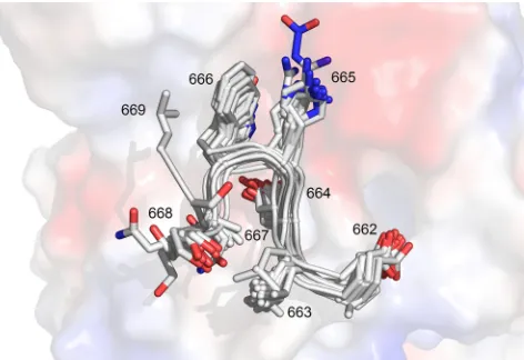 FIG. 2. Crystal structures of 2F5 Fab�probing substitutions at position 664 of the MPER