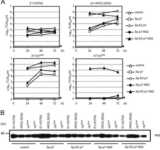 FIG. 5. Inﬂuenza A virus M2 and HIV-1-derived vpu are unable tocomplement p7 function in HCV assembly and release