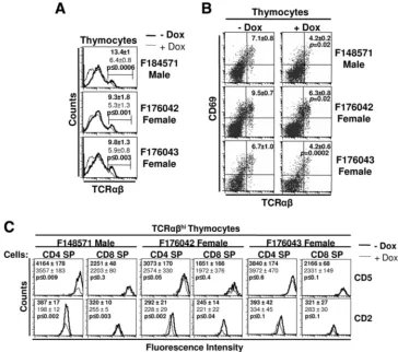 FIG. 5. Analysis of thymocyte maturation in adult DOX-treated mice. (A) Expression of TCR(B) Expression of TCRTCRhiﬂuorescence intensity of each marker is indicated in bold for the untreated control mice and in regular font for DOX-treated mice