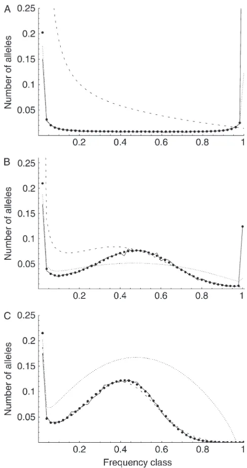 Figure 1C (where N ¼ 2000, s ¼ 0.01, and u ¼ 10�5),selection is strong (s ¼ 20) and the Watterson diffusion