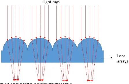 Figure 1.2. Trace of light rays through microlens arrays. 