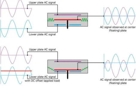 Figure 3.3. Schematic showing explanation of Bruker’s three-plate capacitive transducer 