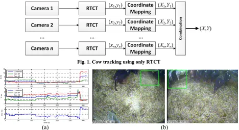 Fig. 1. Cow tracking using only RTCT 