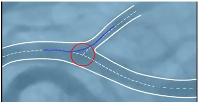 Fig. 1.  The synthetic image illustrates the vessel centrelines defined based on the locus of the maximal circles/spheres within the vasculature