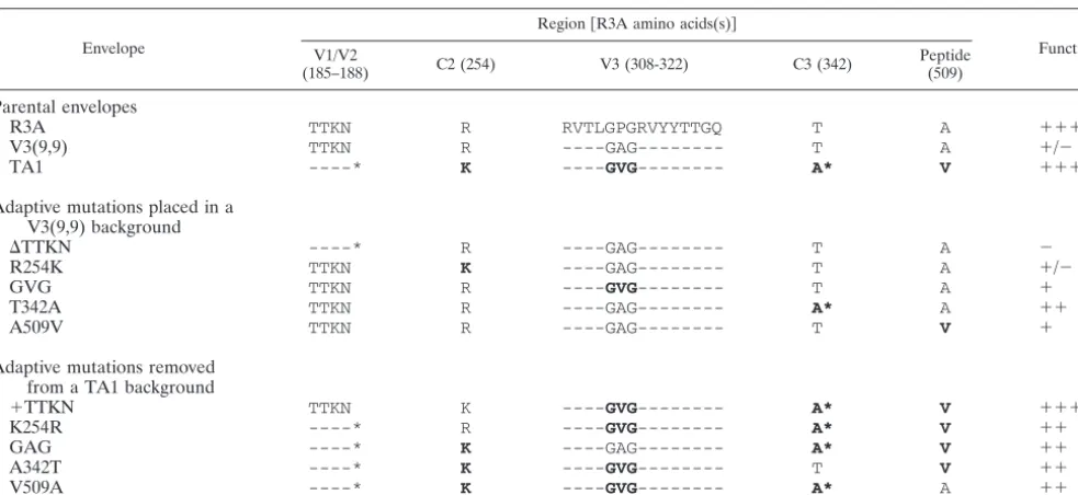 TABLE 1. Schematic representation of envelope constructsa