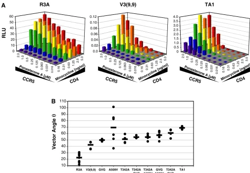 FIG. 5. V3 truncation results in inefﬁcient use of CCR5, and adaptive mutations restore envelope function by increasing efﬁciency of CD4 use.The 293-Afﬁnoﬁle cell line, which can be induced to express graded levels of CD4 and CCR5 in response to minocycline and ponasterone A,