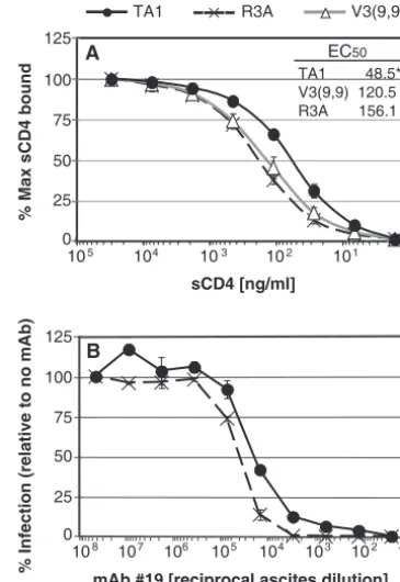 FIG. 6. TA1 has increased afﬁnity for CD4. (A) Equilibrium bind-ing of sCD4 to immobilized monomeric R3A, V3(9,9), or TA1 gp120