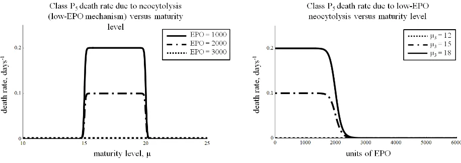 Figure 7:Low-EPO neocytolysis death rate in class P5 is a function of maturity level µ5and EPO level