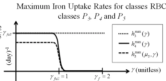 Figure 9: Maximum iron uptake rates where 0 ≤ µ5 ≤ 2.