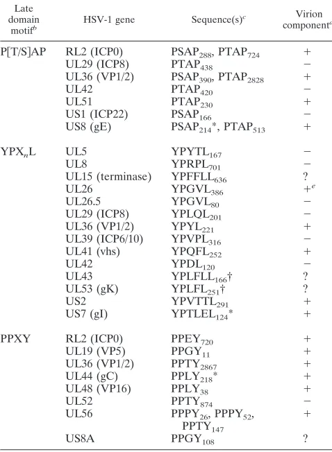 TABLE 1. Potential late domain motifs in HSV-1 proteinsa