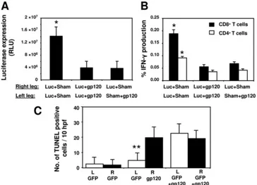 FIG. 7. gp120-mediated immune interference also occurs after administration of the plasmids at separate anatomic sites