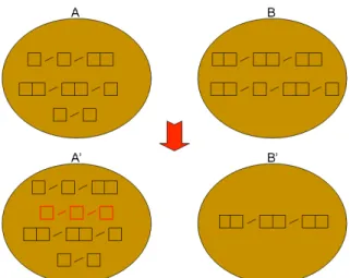 Figure 6: Pool Mutation