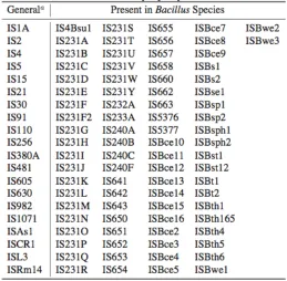 TABLE S1 
