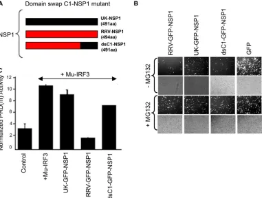 FIG. 8. The carboxyl-terminal 100 residues of NSP1 encode IRF3-inhibitory determinants but do not inﬂuence NSP1 stability