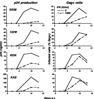 FIG. 4. Inhibition of primary HIV isolates by IFN-�amounts of p24/0.5 ml/10lymphocytes was measured in the absence and presence of 1,000 IU/ml of IFN-panels) and the percentage of Gag