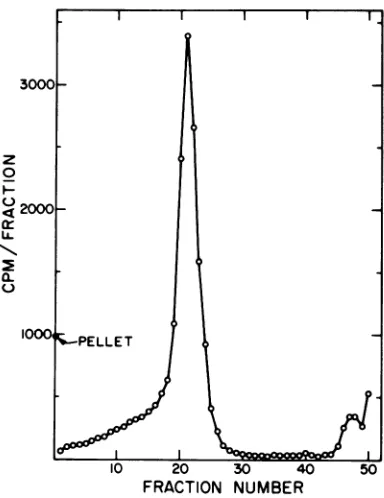 FIG. 1.yieldanddioxane-naphthalene-basedmentation36,000sedimentationstrength0.3%wereingstrengthmediumtion,cellslabeled["CJmethionine