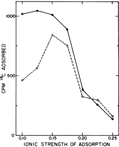 FIG.2.strengths.strength.NaCIstrengthstrength0.5solvednine,acid,containedchickmonolayersminmonolayersbuffer Adsorption of "C-labeled Sindbis virus tomonolayersinsolutionsofdifferentionic Sin'dbisvirus, labeled with [14Cjmethio-wasdilutedintobuffersofdiffer