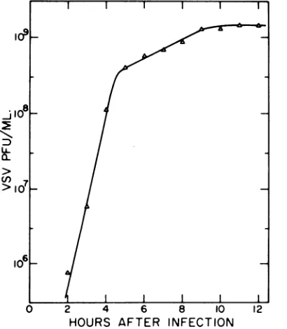 FIG. 5.Afterformingcellswas Growth curve of VSV. Monolayers of chick were infected with VSV at a multiplicity of 17