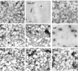 FIG. 4. EMs of micrococcal nuclease (S7)-treated WT full-length amino acid 1 to 183 capsids reassembled upon induction with variouscompounds (see Materials and Methods)
