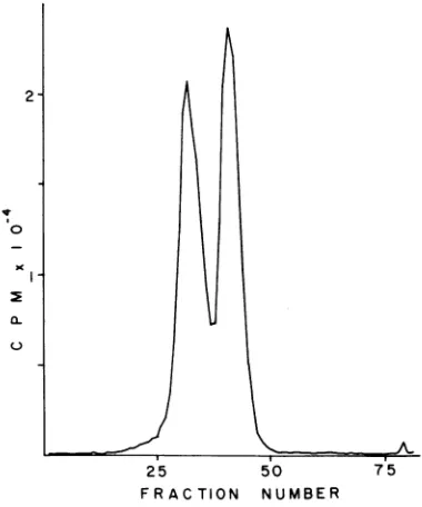 Fig. 148% were consistent with molecules of 42 to of the length of the whole adenovirus DNA,it was postulated that the two peaks on the