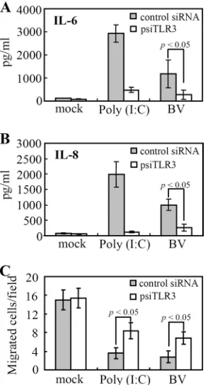 FIG. 6. TLR3 silencing diminished BV-induced cytokine secretionand promoted migration