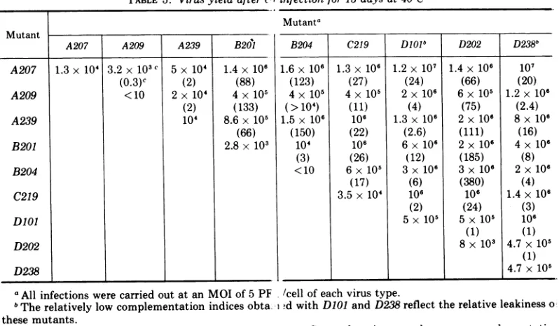 TABLE 4. Virus yields after co-infection for 72 h at40 C