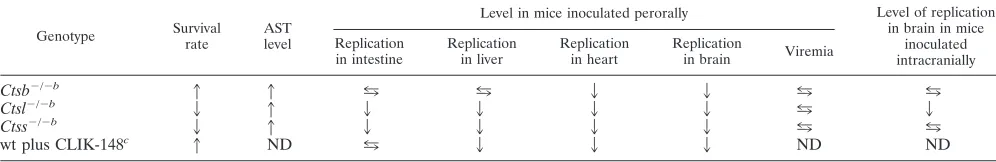 TABLE 3. Reovirus pathogenesis in cathepsin-deﬁcient mice