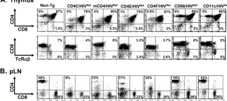 TABLE 1. Thymic cell surface marker analysis in HIVNef Tg micea